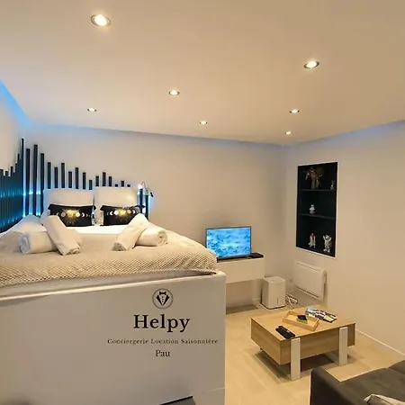 Studio Coeur De Ville-calme-bien Equipe- Apartment Pau