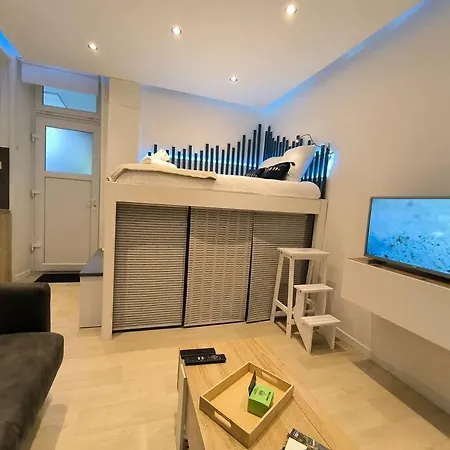 Apartment Studio Coeur De Ville-calme-bien Equipe- Pau